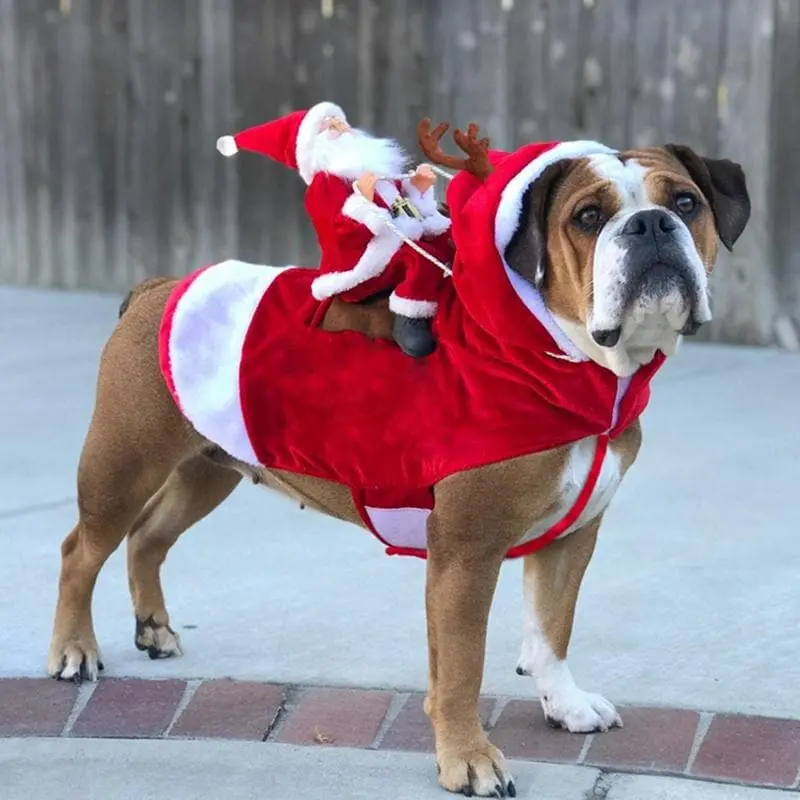 Costume Mignon de chien Père Noel - Housse De France