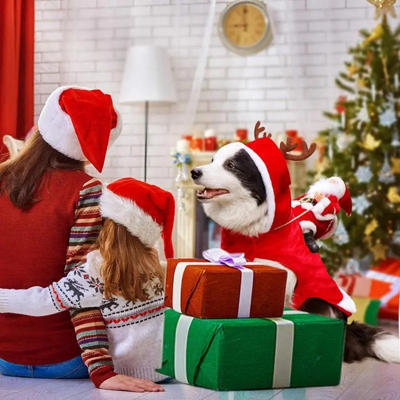 Costume Mignon de chien Père Noel - Housse De France