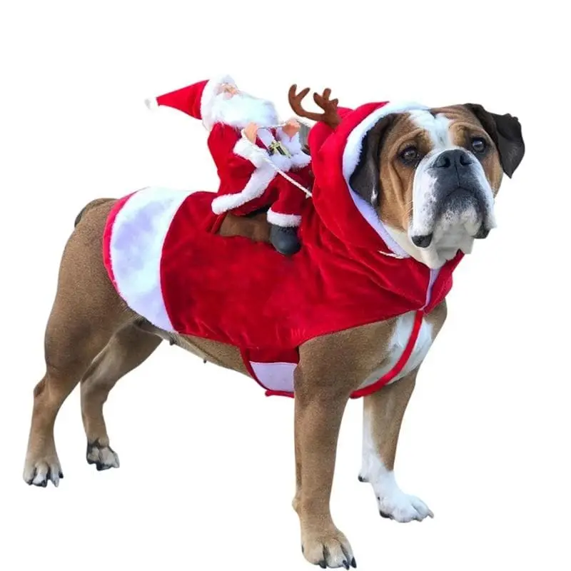 Costume Mignon de chien Père Noel - Housse De France