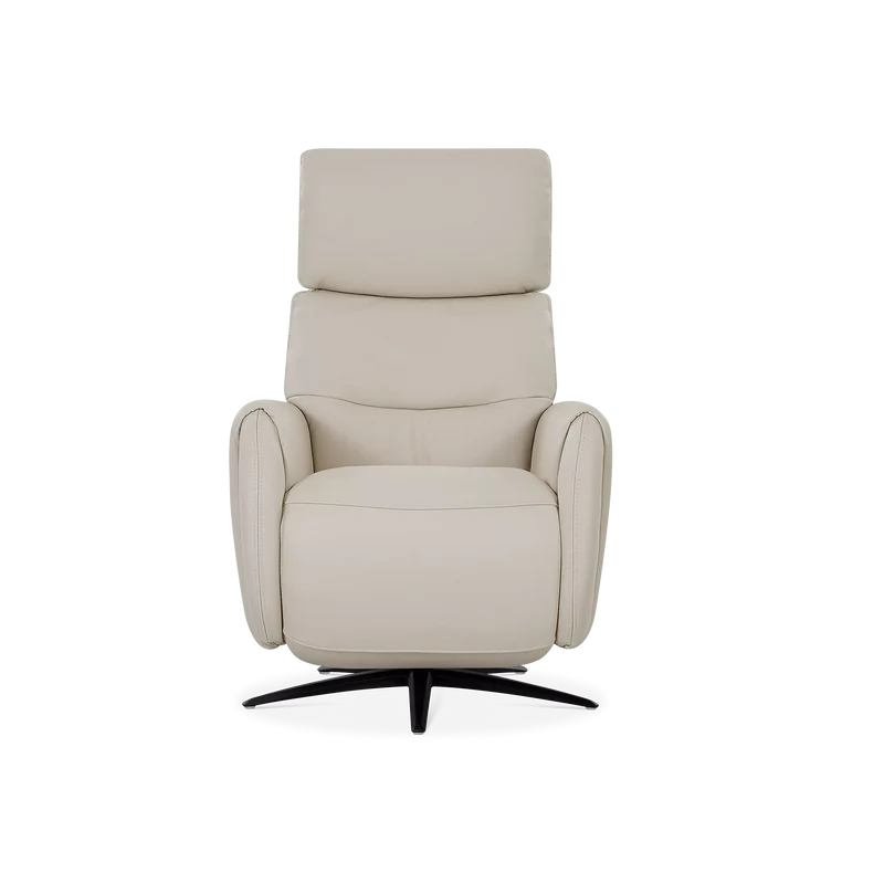 Skinner - Power Recliner with Swivel Base