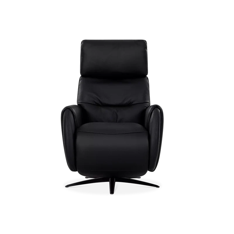 Skinner - Power Recliner with Swivel Base